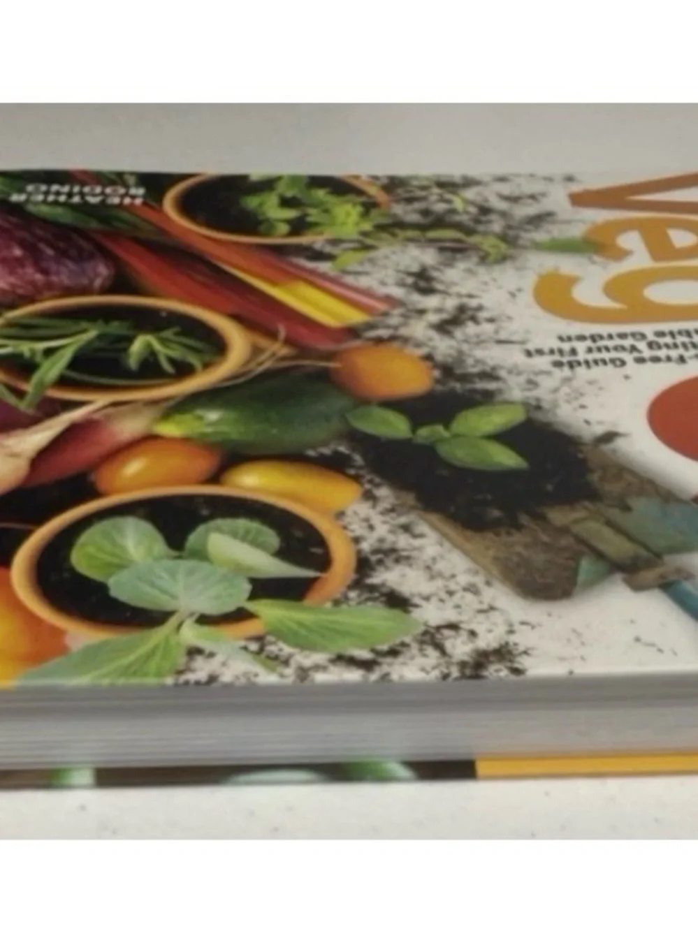 Veg Out; A Stress-Free Guide to Creating Your First Vegetable Garden